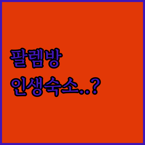 인도네시아 팔렘방 울루 지역 호텔 추천 리스트 쇼핑몰 인근과 자카바링 근처 숙소 분석