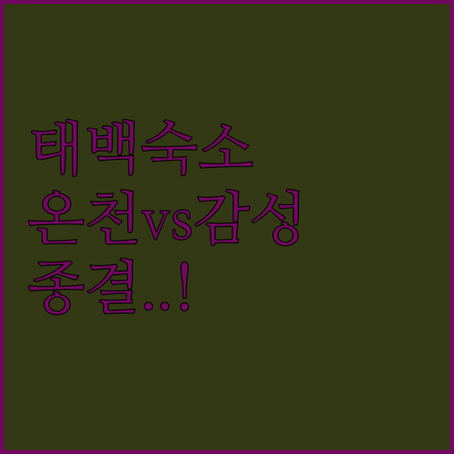 태백 여행 숙소 예약 가이드 온천 호텔과 감성 스테이 위치별 장점 후기