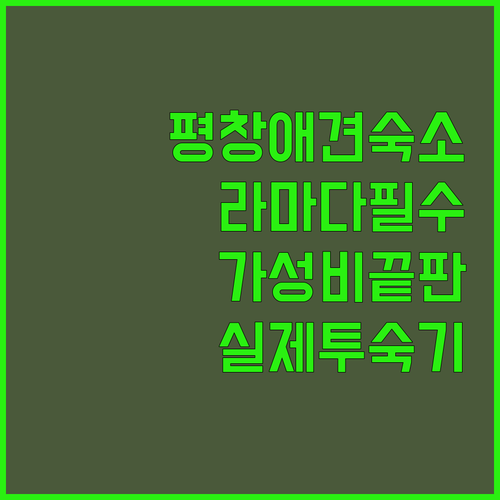 평창 펫프렌들리 호텔 라마다부터 가성비 숙소까지 실제 투숙 후기 모음