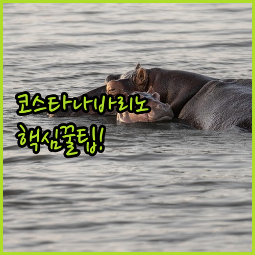 image 575db93f