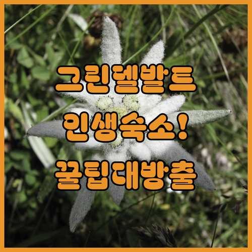 image 726934d1