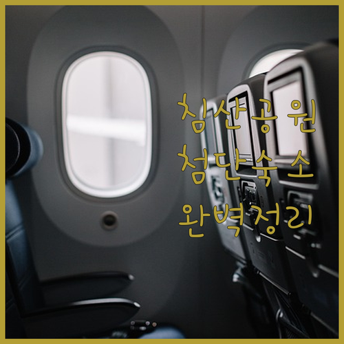 대구 침산공원 유모차 산책로와 광주 첨단 숙소 TOP 3 위치 장점 시설 분석