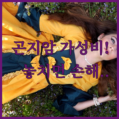 경기도 광주 곤지암 가성비 숙소 TOP 5 위치 장점 후기 분석 사진 정보