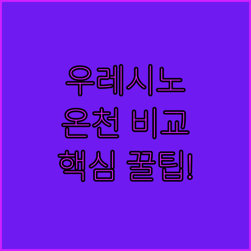 우레시노 온천 료칸 호텔 5곳 위치 가격 식사 포함 여부 온천 시설 후기 알아보기