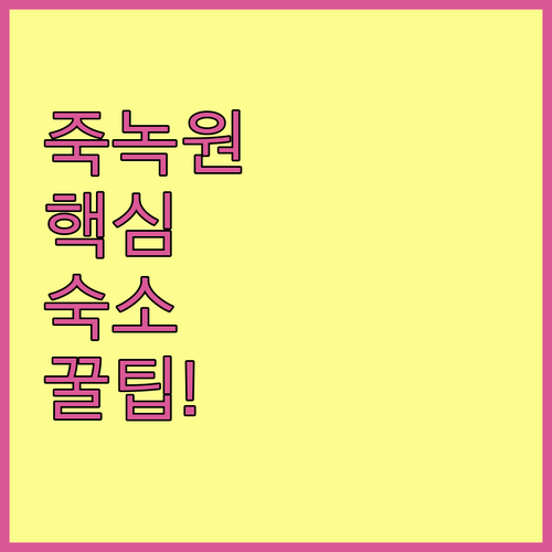 담양 여행 숙소 고르기 죽녹원 메타세쿼이아 길 근처 추천