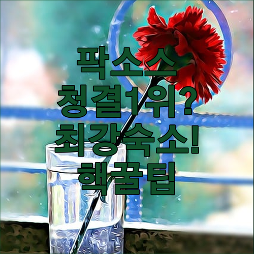 image d9f78538