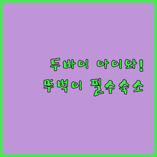 두바이 숙소 추천 아이 동반 가족과 뚜벅이 여행에 편리한 셰이크 자이드 로드