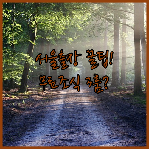 서울 숙소 추천 장기 출장용 서초 쓰리룸과 무료 조식 주는 서울대입구역 호텔