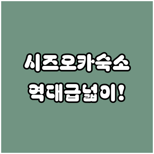 시즈오카 숙소 추천 시즈오카역 근처의 넓고 쾌적한 객실