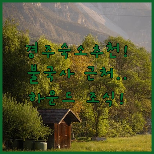 경주 숙소 추천 불국사 근처에 위치하고 조식 제공되는 하운드 호텔