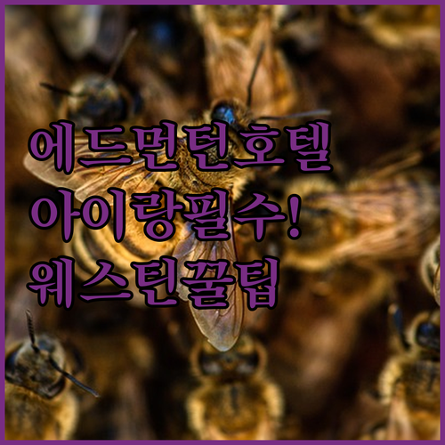 image d50b46ed